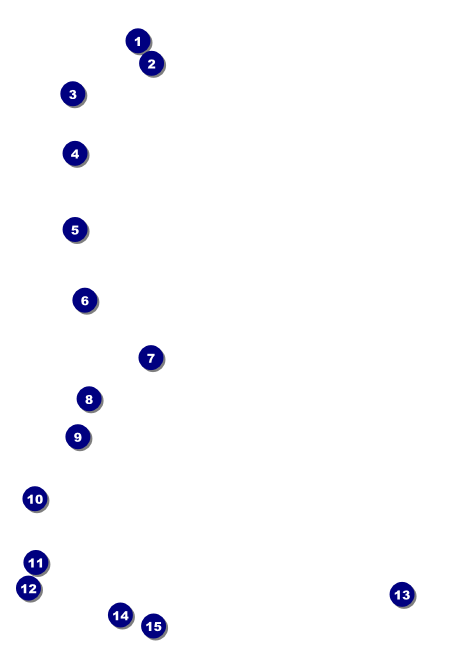 Music Festival Club Flyer Front Field Markers