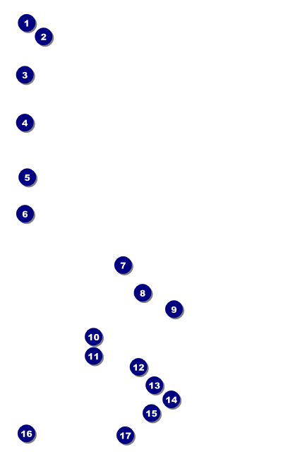 Headdress Drink Ticket Front Field Markers