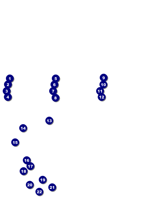 Triathlon Invitation Front Field Markers
