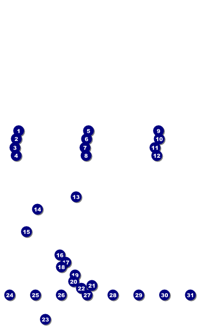 Triathlon Logo Poster Front Field Markers
