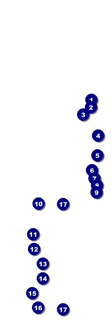 Travel Raffle Ticket Front Field Markers