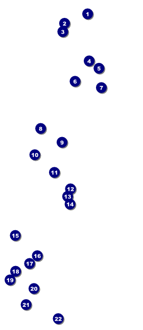 Beauty & The Beast VIP Pass Front Field Markers