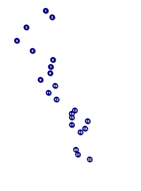 Mask Flyer Front Field Markers