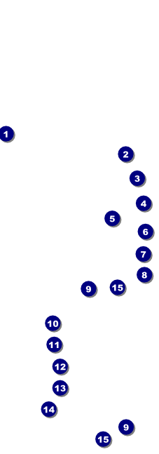 BBQ Kettle Grill Raffle Ticket Front Field Markers
