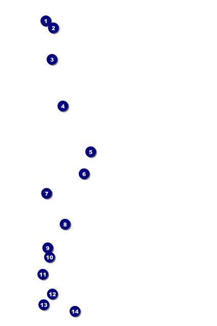 50th Anniversary Poster Front Field Markers