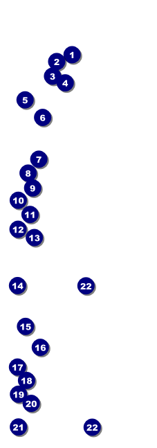 Canada Event Ticket Front Field Markers