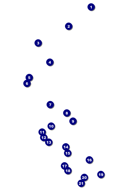 Reunion Invitation Front Field Markers