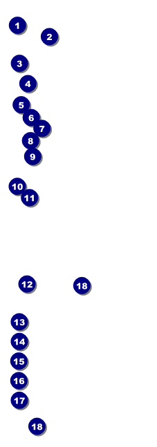 Postcard Raffle Ticket Front Field Markers