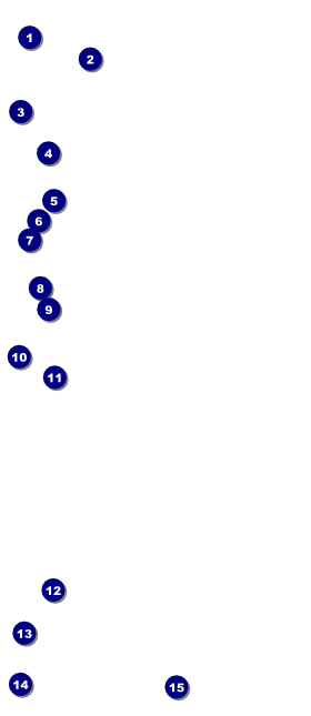 Postcard VIP Pass Front Field Markers