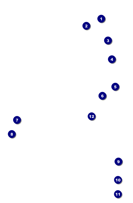 Women's Expo Abstract VIP Event Badge Small Front Field Markers