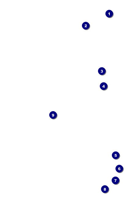 Track and Field VIP Event Badge Small Front Field Markers