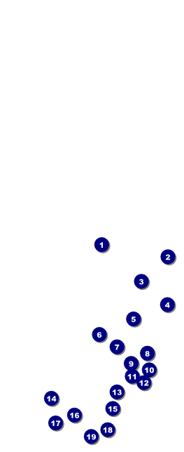 Gold Glitter Table Tent Front Field Markers