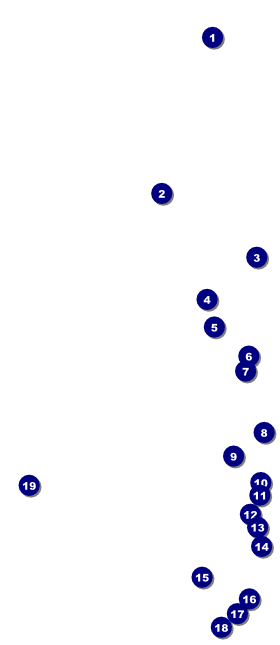 Royal VIP Event Badge Large Front Field Markers