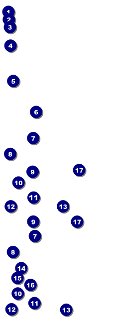 50th Anniversary Reserved Event Ticket Front Field Markers