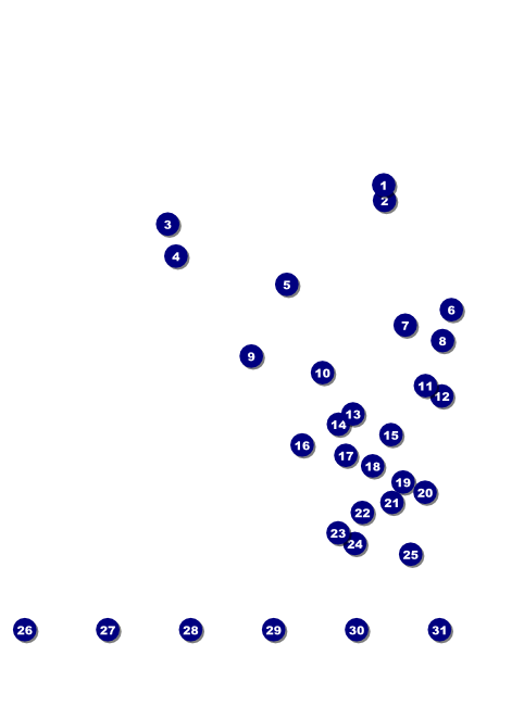 New York Flyer Front Field Markers