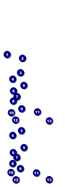 Christmas 002 Reserved Event Ticket Front Field Markers