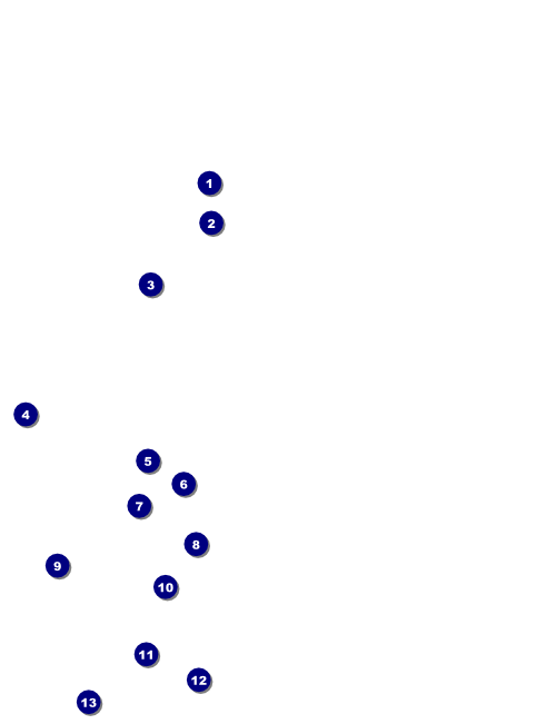 Fall Leaves Flyer Front Field Markers