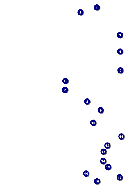 Billiard Tournament Flyer Front Field Markers