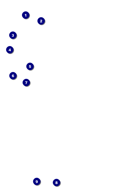 Raas Garba Drink Ticket Front Field Markers