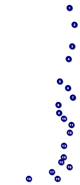 Black Friday VIP Pass Front Field Markers