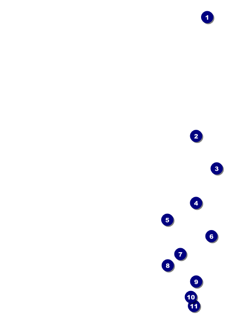 Swim Meet Invitation Front Field Markers