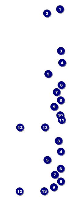 Swim Meet Event Ticket Front Field Markers