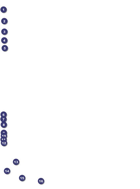 Zombie Woman Flyer Front Field Markers