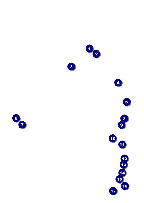 Bow Tie Postcard Mailer Front Field Markers