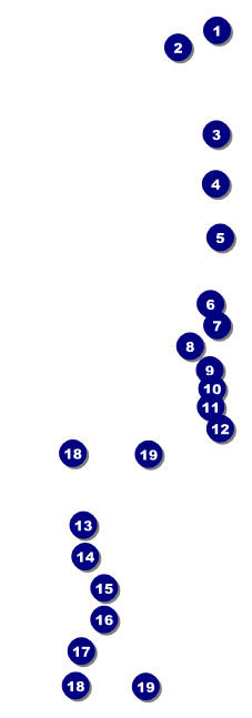Rugby Tournament Raffle Ticket Front Field Markers