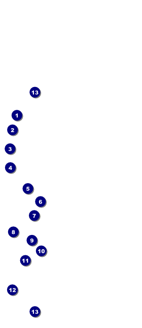 Spider Web Hang Tag Front Field Markers