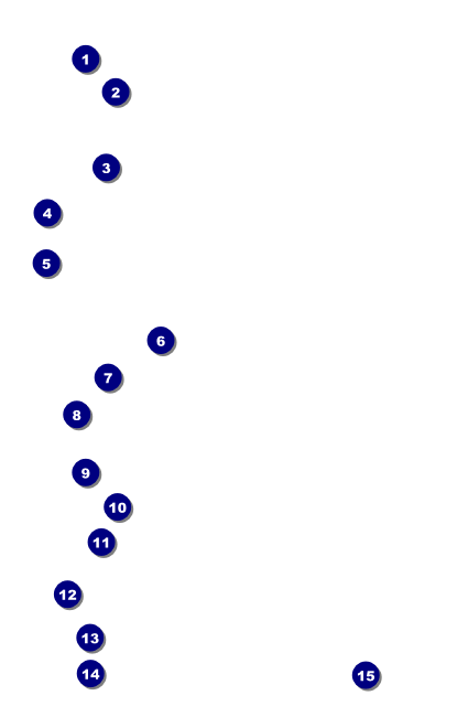 Christmas Angel  Drink Ticket Front Field Markers
