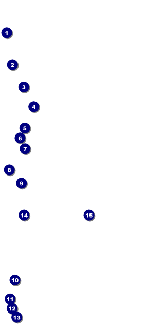 Sports Ticket Black & Yellow VIP Event Badge Large Front Field Markers