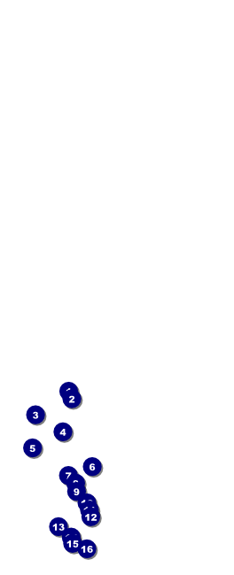 St. Patrick's Day Table Tent Front Field Markers