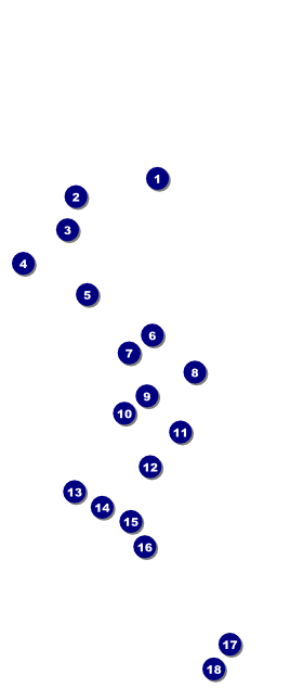 Stand Up Comedy VIP Pass Front Field Markers