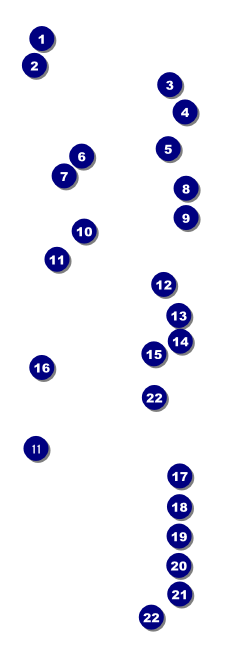 Graduation - Green Raffle Ticket Front Field Markers