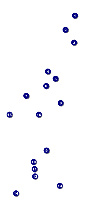 Heavy Metal VIP Pass Front Field Markers