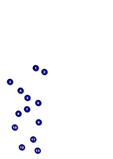Military Ball - The Salute Club Flyer Front Field Markers