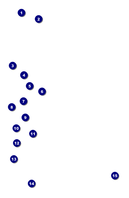 Military Ball - The Salute Drink Ticket Front Field Markers