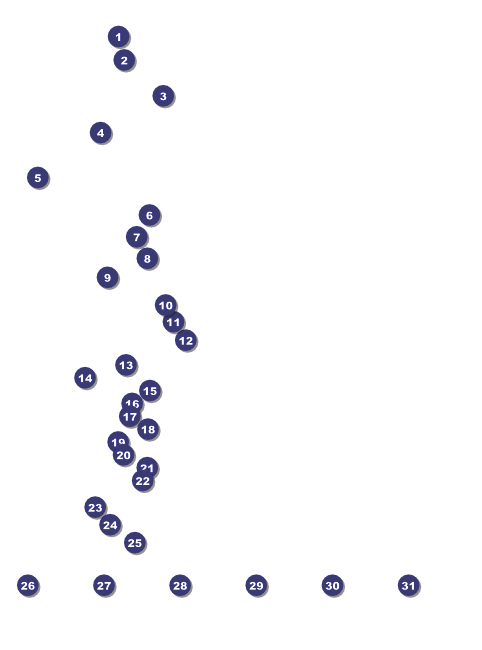 Print Flyer Nature Theme Ocean Front Field Markers