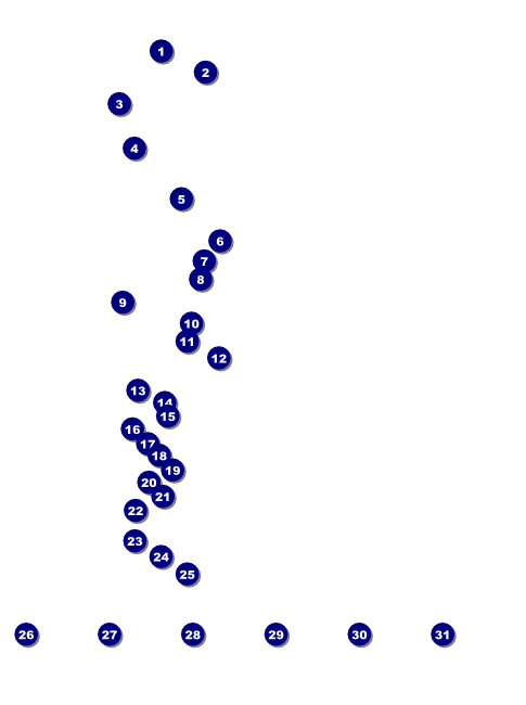 Yellow Rose Flyer with Image Upload Front Field Markers