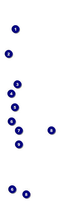 Women's Expo QR Event Ticket Front Field Markers