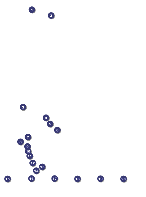 Skating Party Logo Flyer Front Field Markers