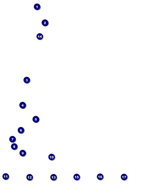 Carnival Logo Flyer Front Field Markers