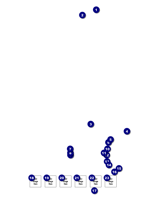 Cherry Blossom Circle Logo Flyer Front Field Markers