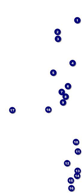 Mardi Gras Prom VIP Event Badge Large VIP Event Badge Large Front Field Markers