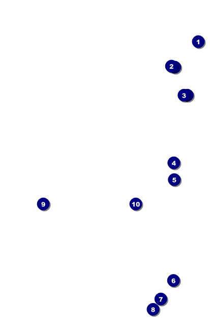 Disco Dance Festival VIP Event Badge Medium Front Field Markers