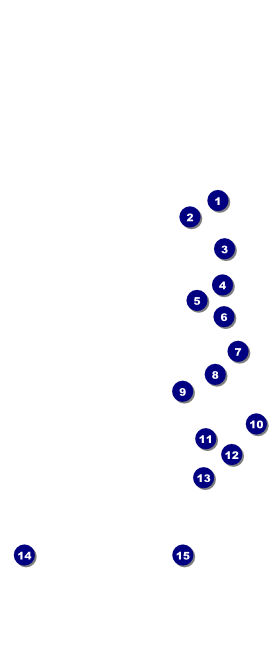 Fire and Ice VIP Event Badge Large Front Field Markers