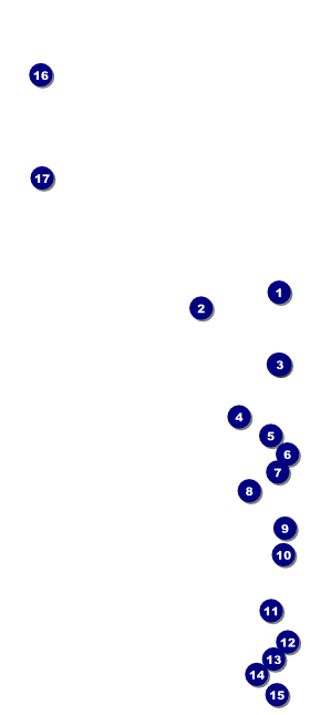 Golden Ornament VIP Event Badge Large Front Field Markers