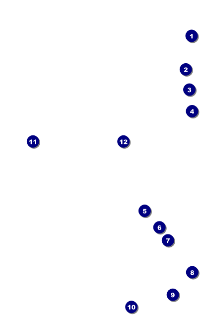 Fourth of July  Freedom VIP Event Badge Medium Front Field Markers