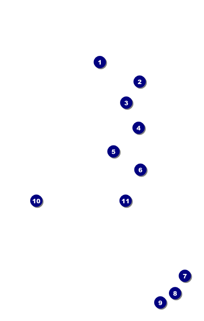 Fourth of July VIP Event Badge Medium Front Field Markers